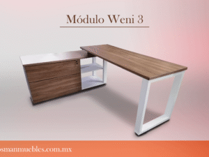 Módulo Weni 3