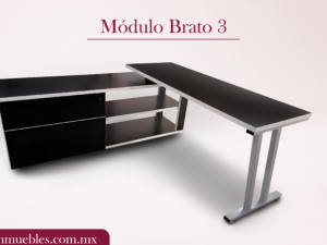 Módulo Brato 3